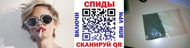 Купить где  Терек  Бутират BDO 