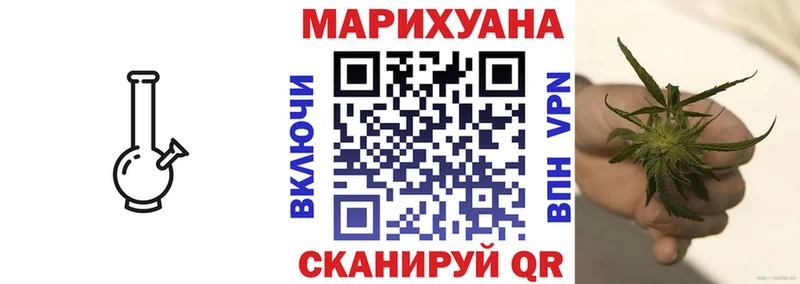 Бошки марихуана сатива  Купить закладки  Терек 